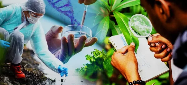 Comprar Diploma Ciências Biológicas Online: Desvende os Segredos da Natureza